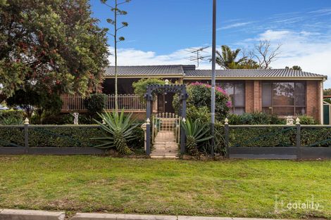 Property photo of 86 Blaxland Avenue Singleton Heights NSW 2330