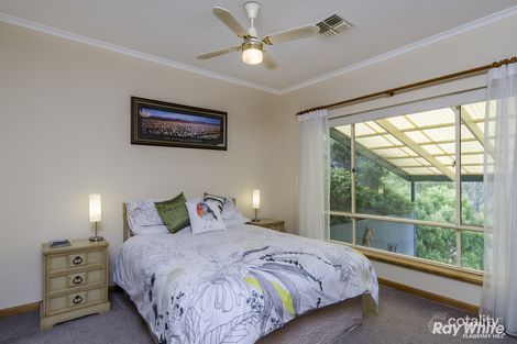 Property photo of 11 Callistemon Court Flagstaff Hill SA 5159