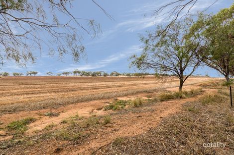 9606 Cunderdin-Quairading Rd, Cunderdin, WA 6407