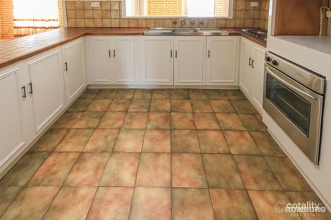 Property photo of 11 Gramp Avenue Angaston SA 5353