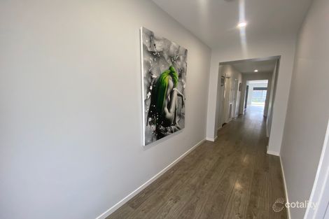 Property photo of 16 Doubell Street Killara VIC 3691