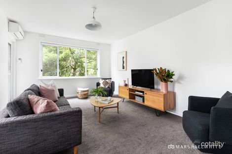 Property photo of 6/16 Auburn Grove Hawthorn East VIC 3123