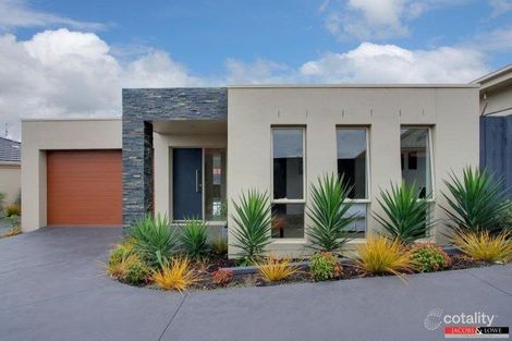 2/24 Lucerne Ave, Mornington, VIC 3931