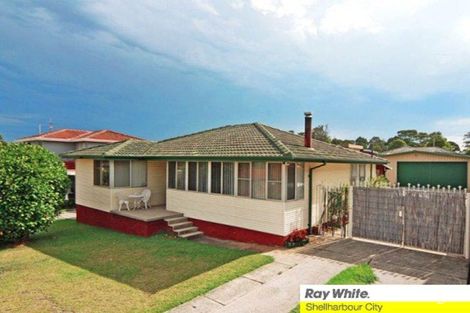 Property photo of 20 Grose Avenue Barrack Heights NSW 2528