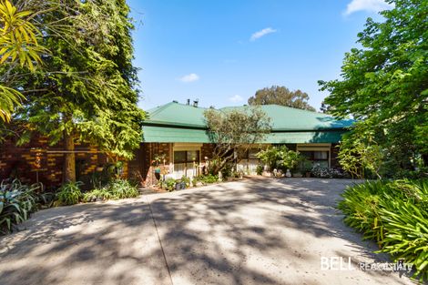 Property photo of 384 Macclesfield Road Macclesfield VIC 3782