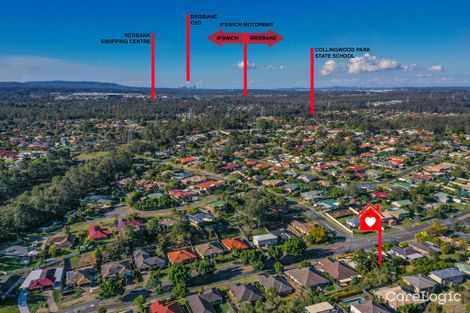 Property photo of 226 Eagle Street Collingwood Park QLD 4301