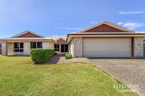 19 Rainbird Cct, Kallangur, QLD 4503