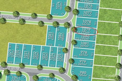 12 Duranta Lane, Bohle Plains, QLD 4817