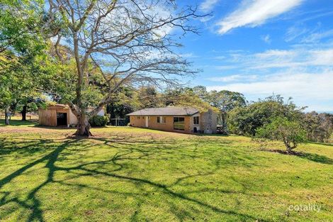 Property photo of 19 Ingham Street Lower Beechmont QLD 4211