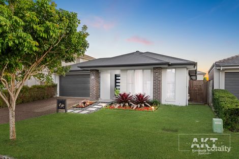 Property photo of 26 Kinglake Crescent Pimpama QLD 4209