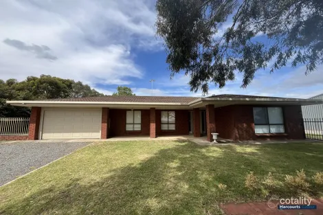 969 Light Pass Rd, Vine Vale, SA 5352