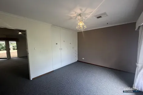 Property photo of 969 Light Pass Road Vine Vale SA 5352