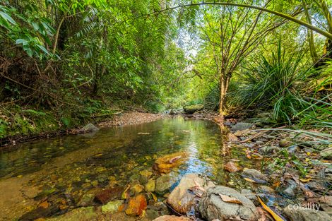 109 Little North Arm Rd, Thora, NSW 2454