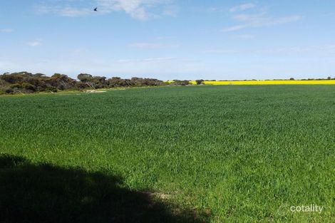 56 Davit Dr, Bluff Beach, SA 5575