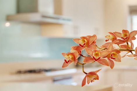 18 Dorritt St, Lane Cove, NSW 2066