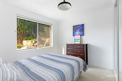 Property photo of 7/47 Sturdee Parade Dee Why NSW 2099