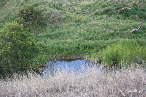 Property photo of 124 Hartz Road Iredale QLD 4344