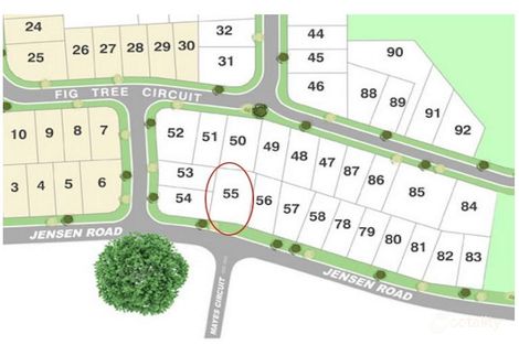 Property photo of 55 Fig Tree Circuit Caboolture QLD 4510