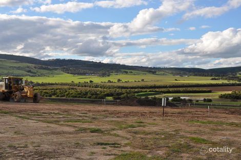 Lot 60 Needlebush Dr, Chiton, SA 5211