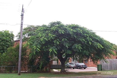 19 Kate St, Woody Point, QLD 4019