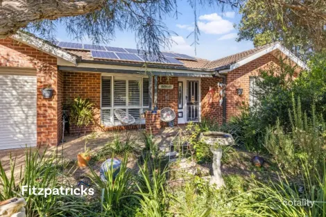 Property photo of 56 Jack Avenue Mount Austin NSW 2650