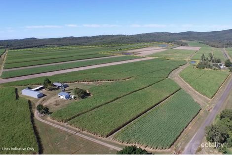 75 Cone Creek Rd, Koumala, QLD 4738