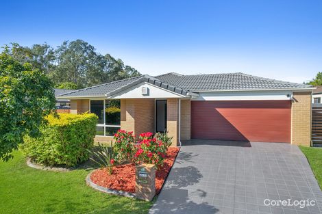 Property photo of 41 Macaranga Crescent Carseldine QLD 4034