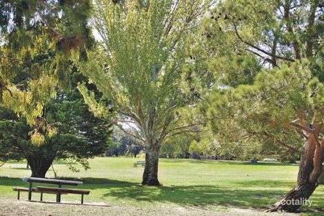 Property photo of 33 Airedale Avenue Hawthorn East VIC 3123