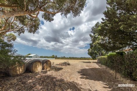 Property photo of 256 Light Pass Road Light Pass SA 5355