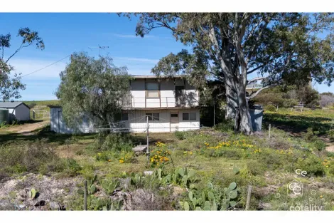Property photo of 71 Graziano Road Bowhill SA 5238