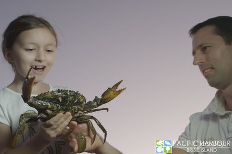 137 North Pnt, Banksia Beach, QLD 4507