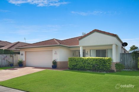 217/2 Falcon Way, Tweed Heads South, NSW 2486