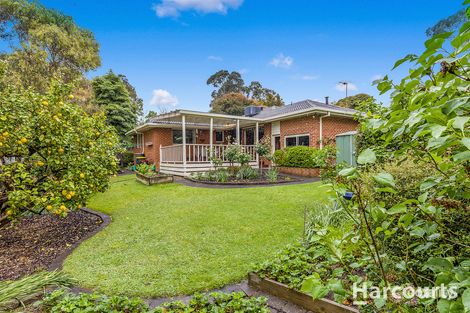 Property photo of 31 Tullimbar Circuit Vermont South VIC 3133