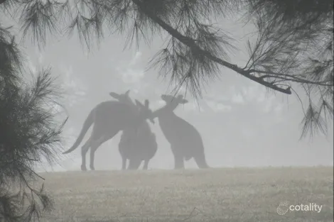 Property photo of 40/391 Mount Scanzi Road Kangaroo Valley NSW 2577