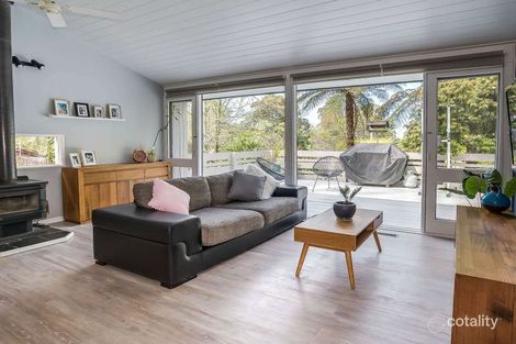 Property photo of 31 Hazel Grove Tecoma VIC 3160