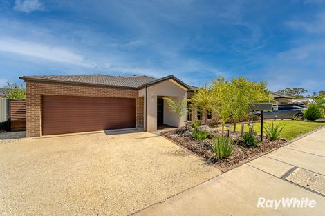 57 Harveys Lane, Jackass Flat, VIC 3556