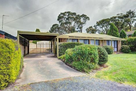 13 Boak Ave, Mount Helen, VIC 3350