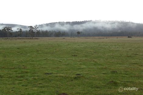 519 Felmingham Rd, Parkham, TAS 7304