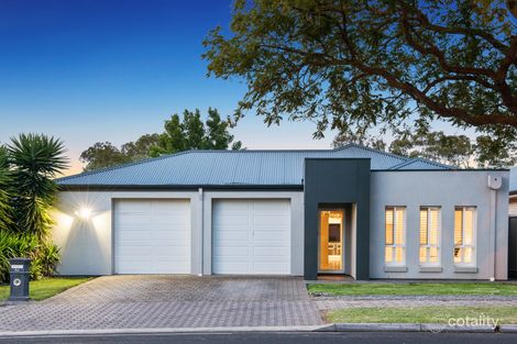 62 Gascoyne Ave, Hillcrest, SA 5086