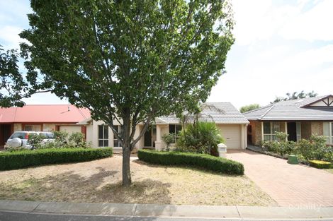 6 Sherbourne Tce, Dover Gardens, SA 5048