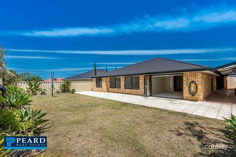 29 Crown Point Cres, Butler, WA 6036