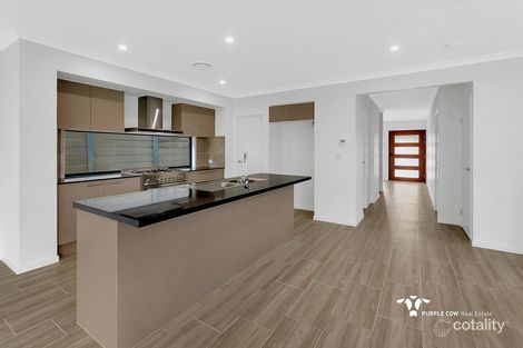 Property photo of 4 James Varghese Street Spring Mountain QLD 4300
