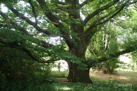 Property photo of 21 Ross Street Malmsbury VIC 3446