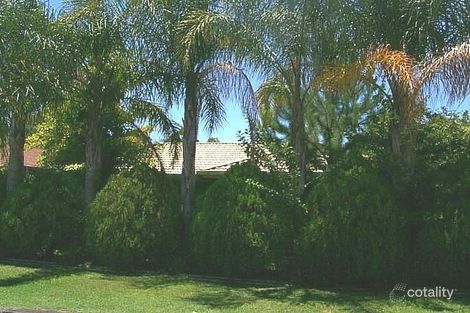 10 Begonia St, Daisy Hill, QLD 4127