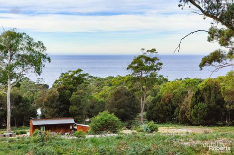 104 Harveys Farm Rd, Bicheno, TAS 7215