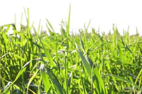 44 Cratloe Rd, Mount Waverley, VIC 3149