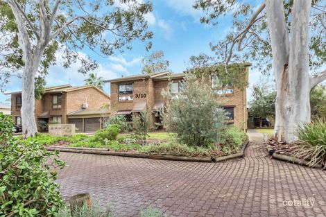 Property photo of 3/10 Hone Street Parkside SA 5063