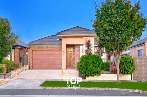 51 Bonnington Bvd, Clyde North, VIC 3978