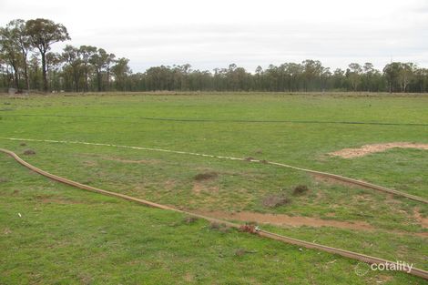 375 Tuppiari Rd, Jacks Creek, NSW 2390