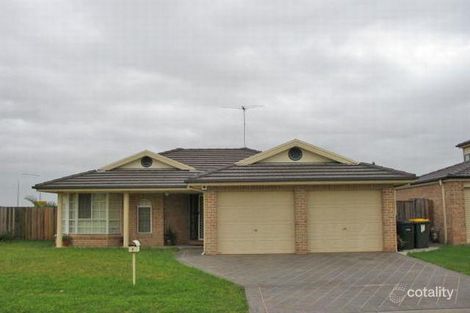 1 Willowleaf Cl, Glenwood, NSW 2768